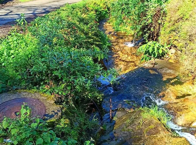 Tatil Evi Casa Carmelo