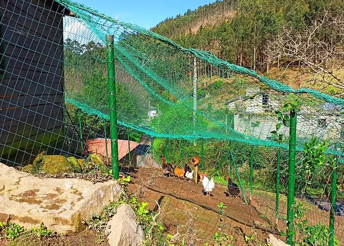 Tatil Evi Casa Carmelo *